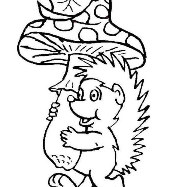 Online coloring book: Coloring book hedgehog with toadstool